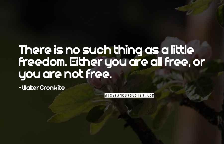 Walter Cronkite Quotes: There is no such thing as a little freedom. Either you are all free, or you are not free.