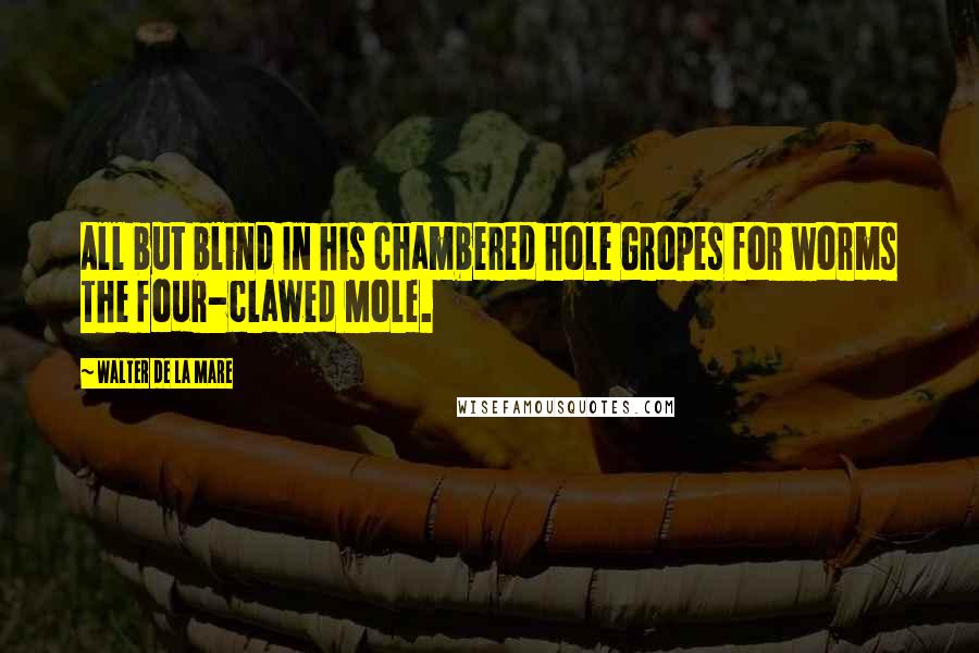 Walter De La Mare Quotes: All but blind In his chambered hole Gropes for worms The four-clawed Mole.