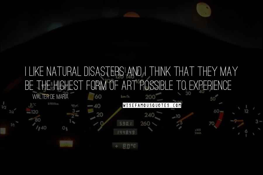 Walter De Maria Quotes: I like natural disasters and I think that they may be the highest form of art possible to experience