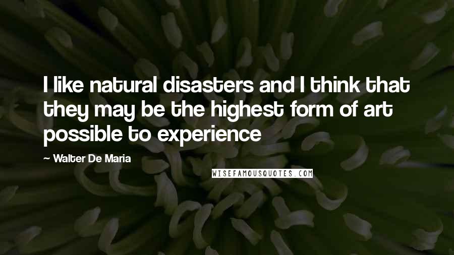 Walter De Maria Quotes: I like natural disasters and I think that they may be the highest form of art possible to experience