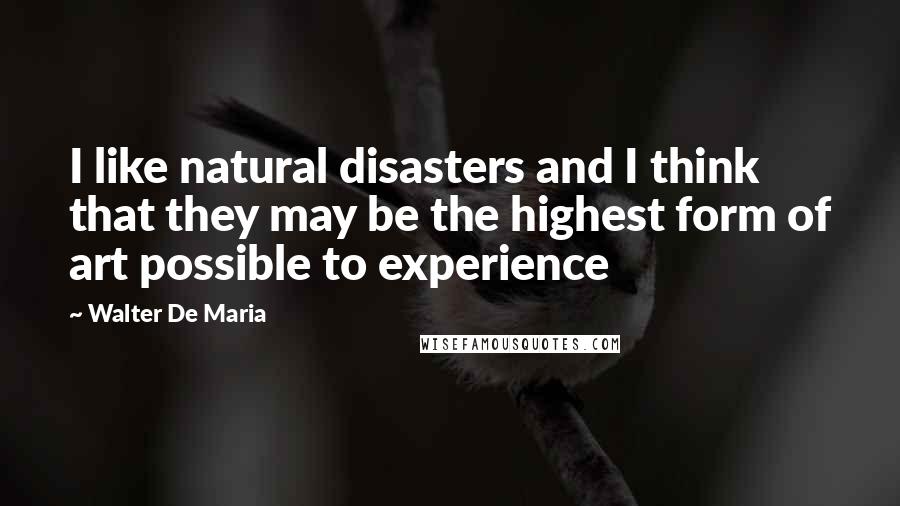 Walter De Maria Quotes: I like natural disasters and I think that they may be the highest form of art possible to experience