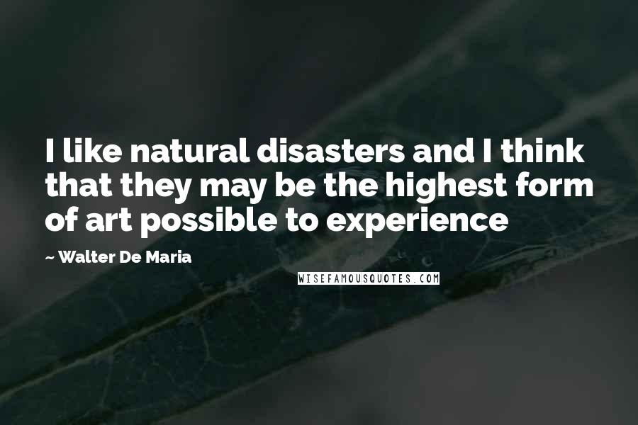 Walter De Maria Quotes: I like natural disasters and I think that they may be the highest form of art possible to experience