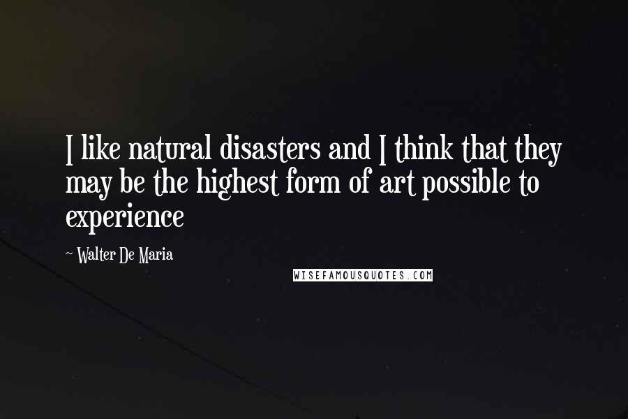Walter De Maria Quotes: I like natural disasters and I think that they may be the highest form of art possible to experience