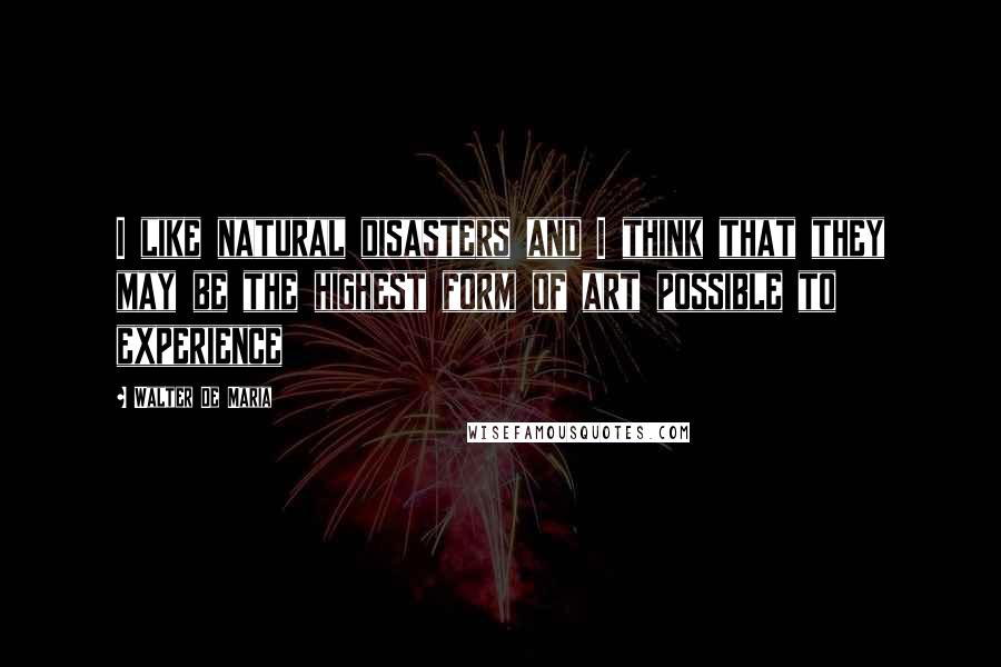 Walter De Maria Quotes: I like natural disasters and I think that they may be the highest form of art possible to experience