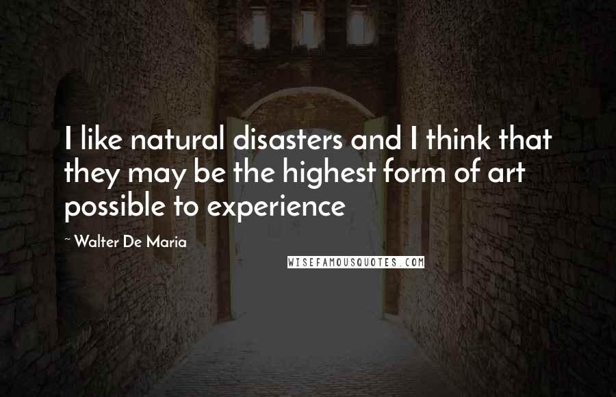 Walter De Maria Quotes: I like natural disasters and I think that they may be the highest form of art possible to experience