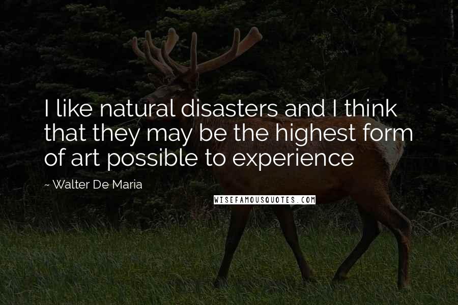 Walter De Maria Quotes: I like natural disasters and I think that they may be the highest form of art possible to experience
