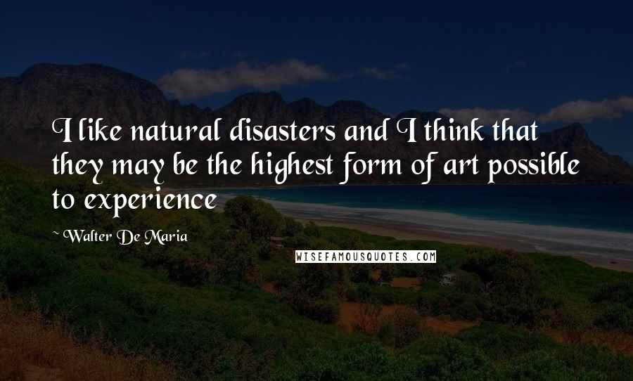Walter De Maria Quotes: I like natural disasters and I think that they may be the highest form of art possible to experience