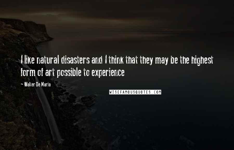 Walter De Maria Quotes: I like natural disasters and I think that they may be the highest form of art possible to experience