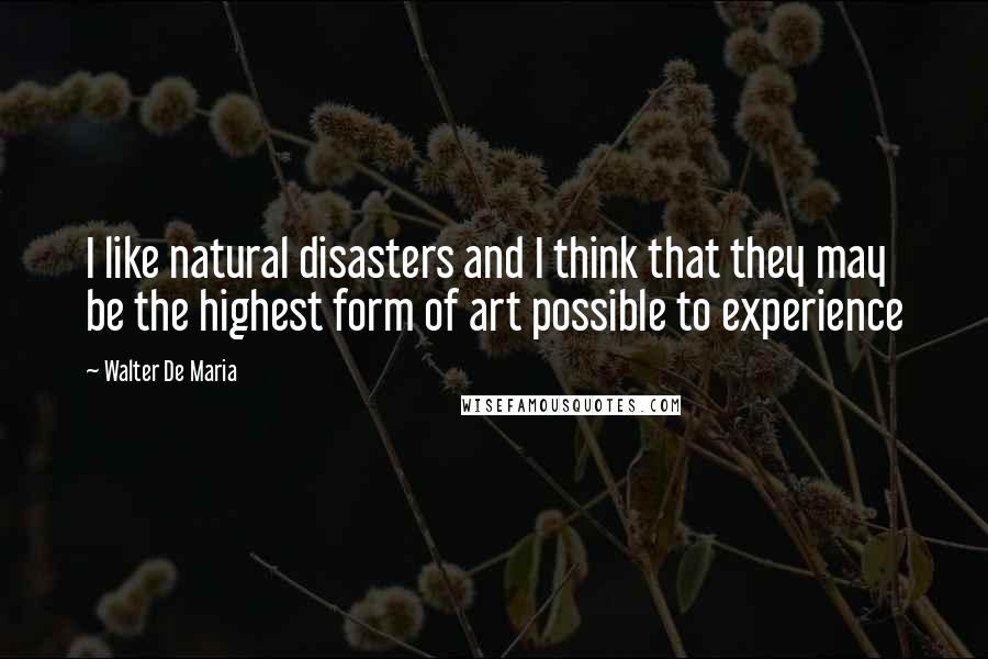 Walter De Maria Quotes: I like natural disasters and I think that they may be the highest form of art possible to experience