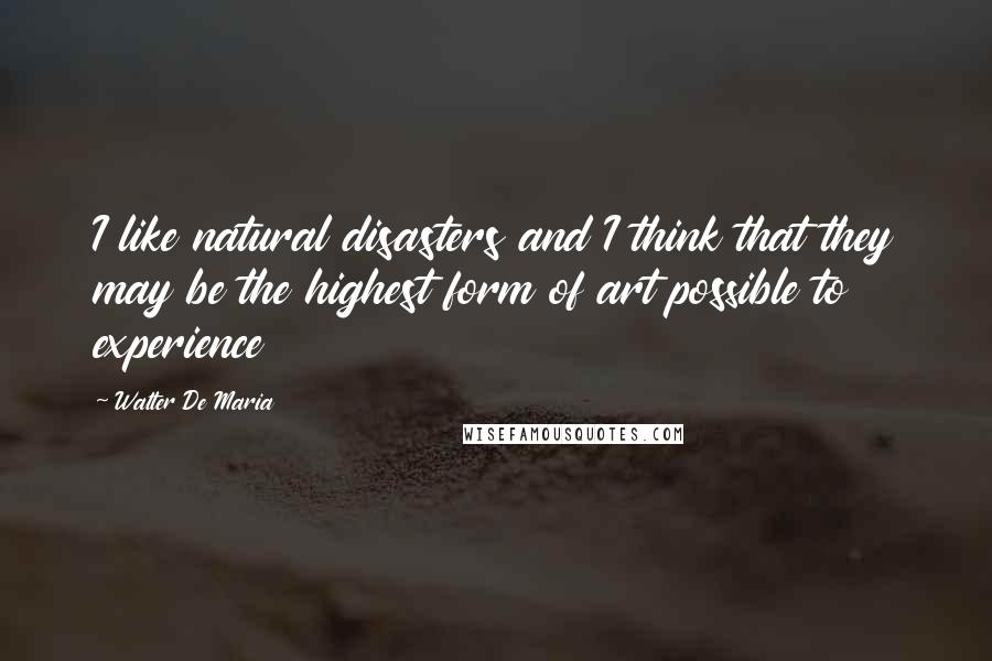 Walter De Maria Quotes: I like natural disasters and I think that they may be the highest form of art possible to experience