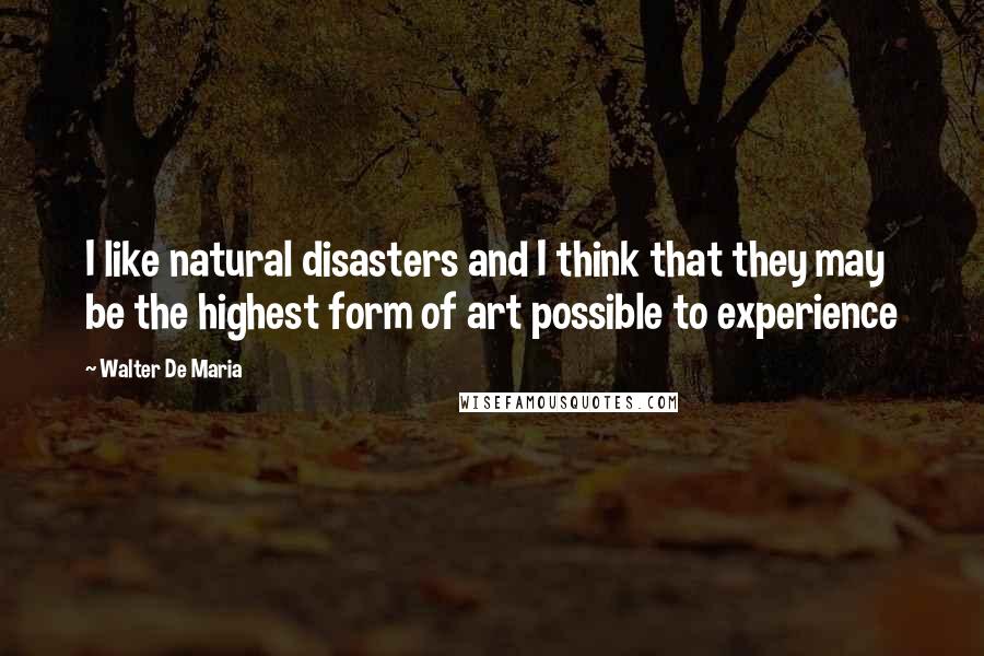 Walter De Maria Quotes: I like natural disasters and I think that they may be the highest form of art possible to experience