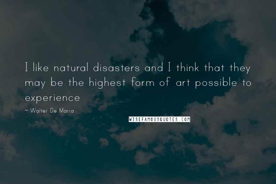Walter De Maria Quotes: I like natural disasters and I think that they may be the highest form of art possible to experience