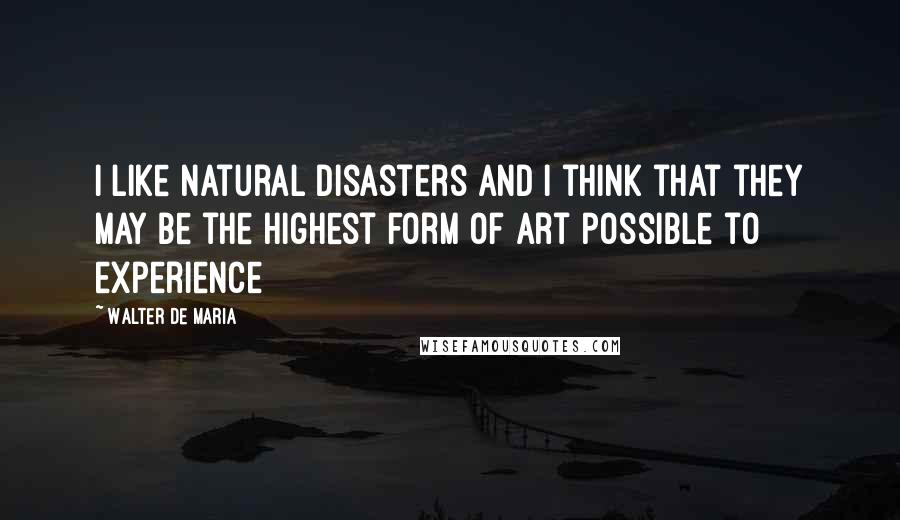 Walter De Maria Quotes: I like natural disasters and I think that they may be the highest form of art possible to experience