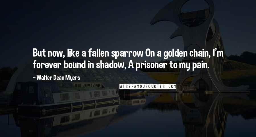 Walter Dean Myers Quotes: But now, like a fallen sparrow On a golden chain, I'm forever bound in shadow, A prisoner to my pain.