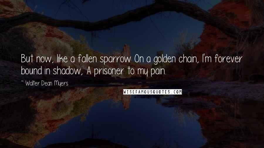 Walter Dean Myers Quotes: But now, like a fallen sparrow On a golden chain, I'm forever bound in shadow, A prisoner to my pain.