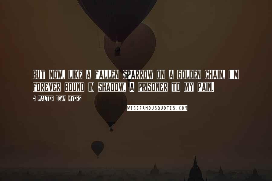 Walter Dean Myers Quotes: But now, like a fallen sparrow On a golden chain, I'm forever bound in shadow, A prisoner to my pain.