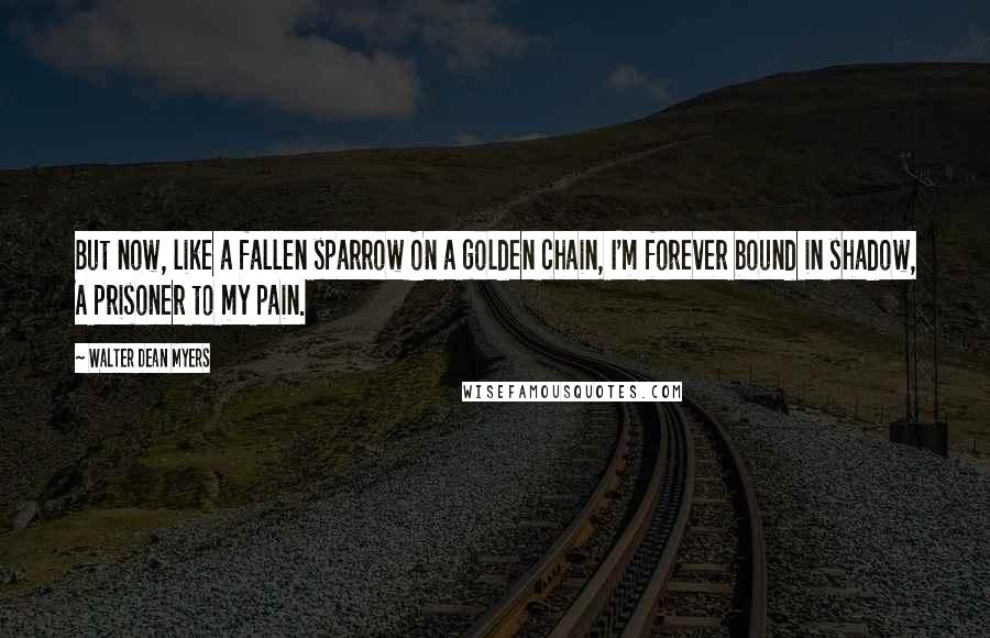 Walter Dean Myers Quotes: But now, like a fallen sparrow On a golden chain, I'm forever bound in shadow, A prisoner to my pain.