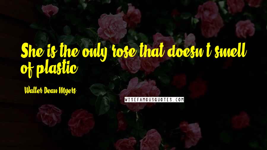 Walter Dean Myers Quotes: She is the only rose that doesn't smell of plastic