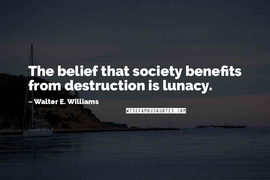 Walter E. Williams Quotes: The belief that society benefits from destruction is lunacy.