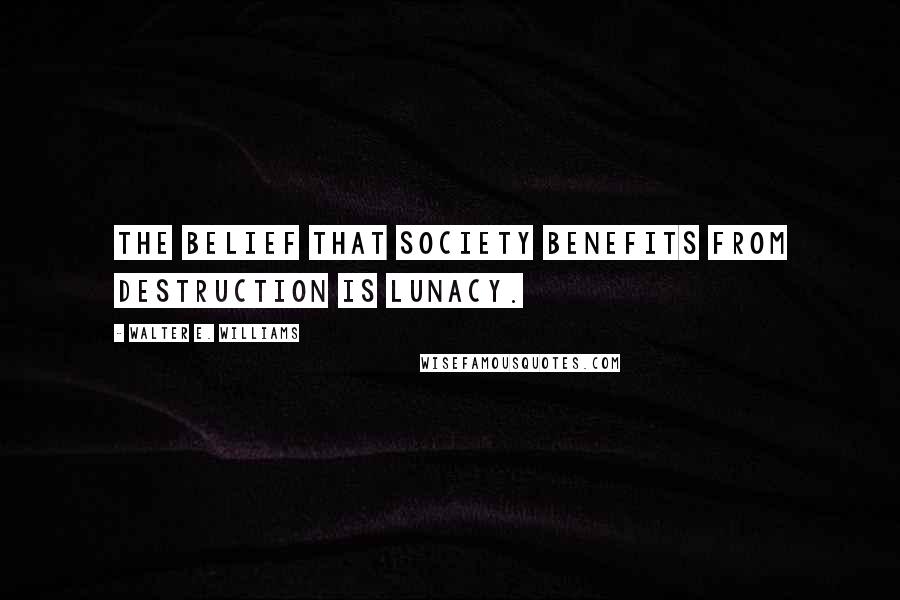 Walter E. Williams Quotes: The belief that society benefits from destruction is lunacy.