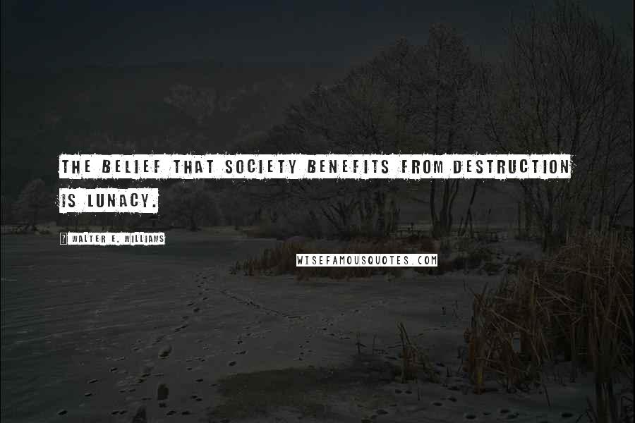 Walter E. Williams Quotes: The belief that society benefits from destruction is lunacy.