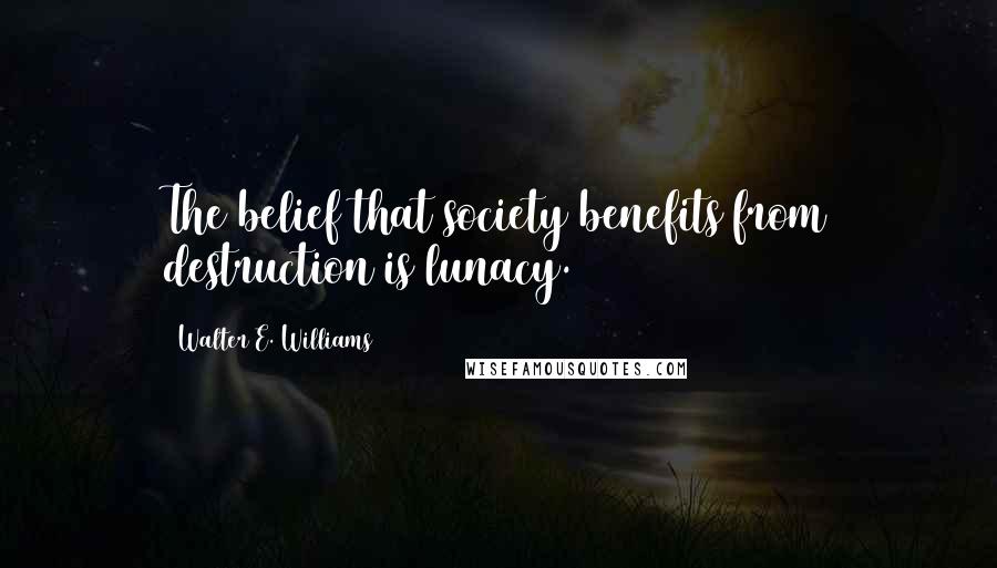 Walter E. Williams Quotes: The belief that society benefits from destruction is lunacy.