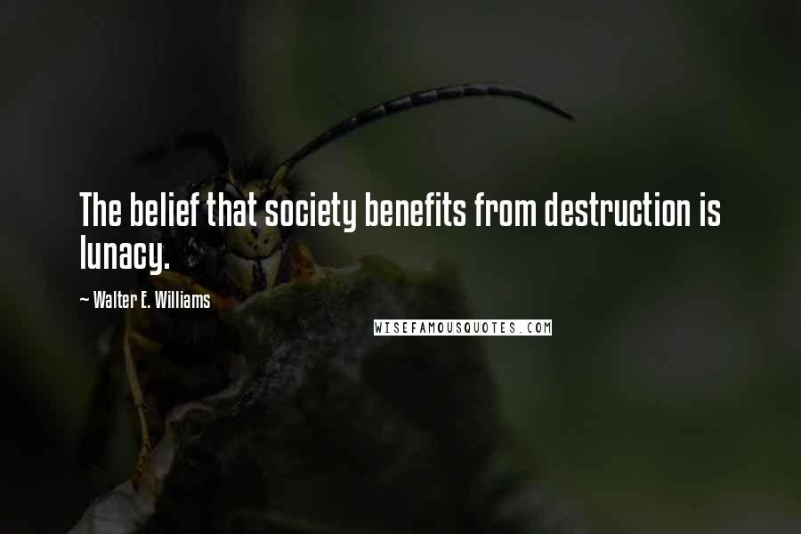 Walter E. Williams Quotes: The belief that society benefits from destruction is lunacy.