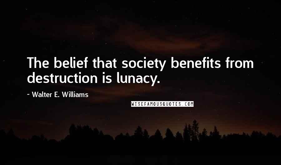 Walter E. Williams Quotes: The belief that society benefits from destruction is lunacy.