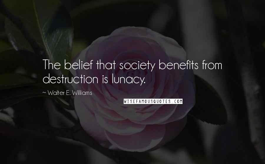 Walter E. Williams Quotes: The belief that society benefits from destruction is lunacy.