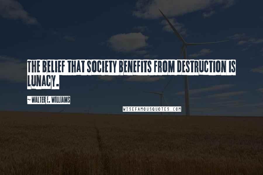 Walter E. Williams Quotes: The belief that society benefits from destruction is lunacy.