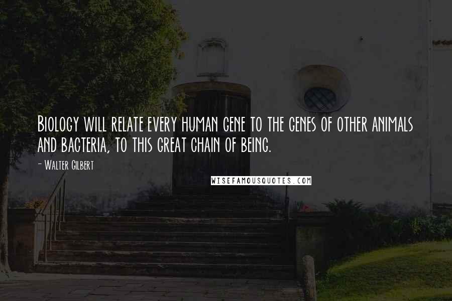 Walter Gilbert Quotes: Biology will relate every human gene to the genes of other animals and bacteria, to this great chain of being.