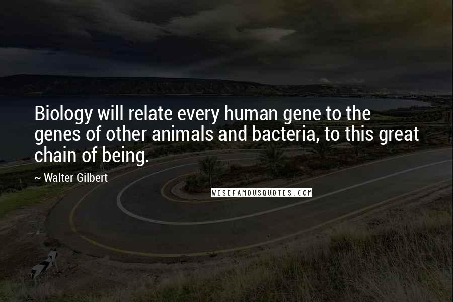 Walter Gilbert Quotes: Biology will relate every human gene to the genes of other animals and bacteria, to this great chain of being.
