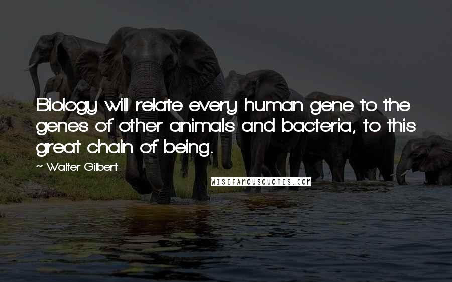Walter Gilbert Quotes: Biology will relate every human gene to the genes of other animals and bacteria, to this great chain of being.