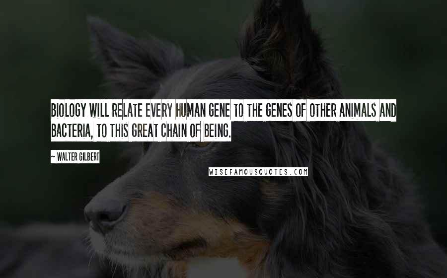 Walter Gilbert Quotes: Biology will relate every human gene to the genes of other animals and bacteria, to this great chain of being.