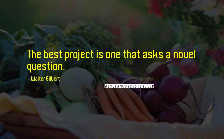 Walter Gilbert Quotes: The best project is one that asks a novel question.