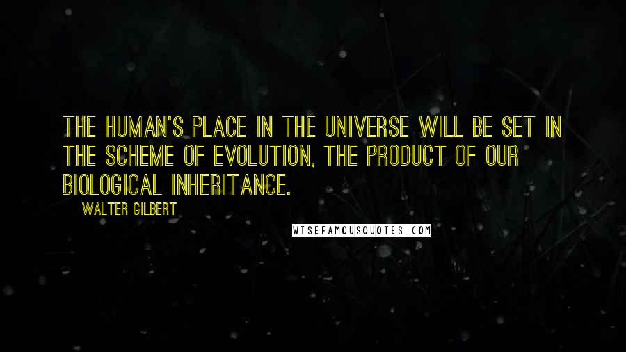 Walter Gilbert Quotes: The human's place in the universe will be set in the scheme of evolution, the product of our biological inheritance.