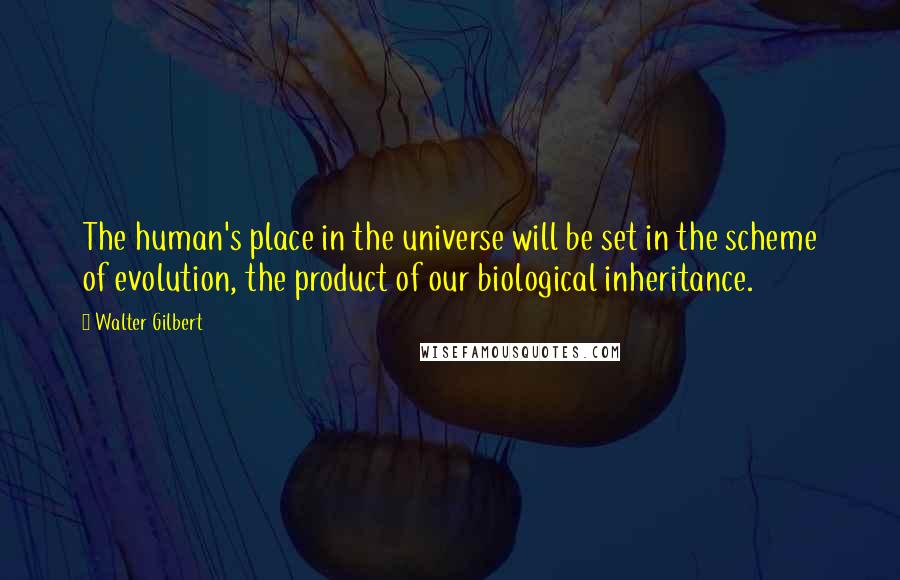 Walter Gilbert Quotes: The human's place in the universe will be set in the scheme of evolution, the product of our biological inheritance.