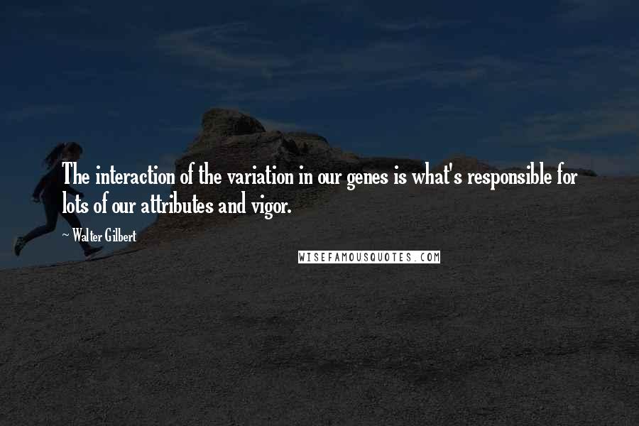 Walter Gilbert Quotes: The interaction of the variation in our genes is what's responsible for lots of our attributes and vigor.