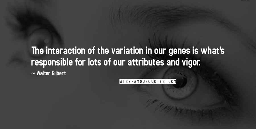 Walter Gilbert Quotes: The interaction of the variation in our genes is what's responsible for lots of our attributes and vigor.