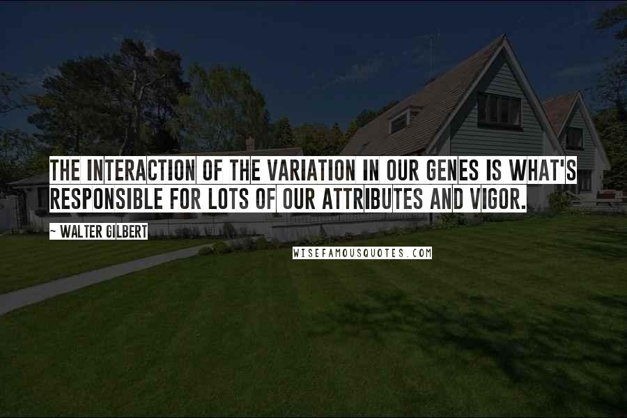 Walter Gilbert Quotes: The interaction of the variation in our genes is what's responsible for lots of our attributes and vigor.