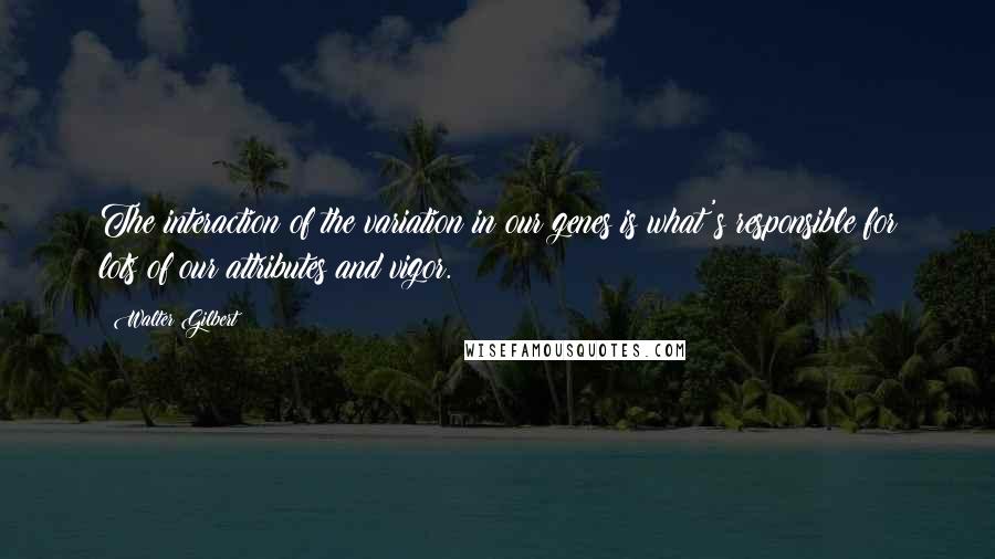 Walter Gilbert Quotes: The interaction of the variation in our genes is what's responsible for lots of our attributes and vigor.