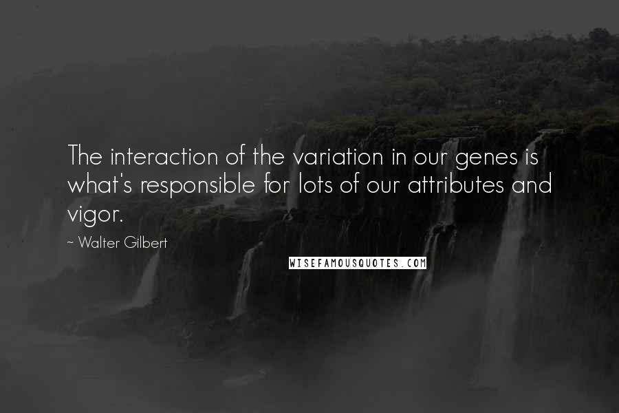 Walter Gilbert Quotes: The interaction of the variation in our genes is what's responsible for lots of our attributes and vigor.