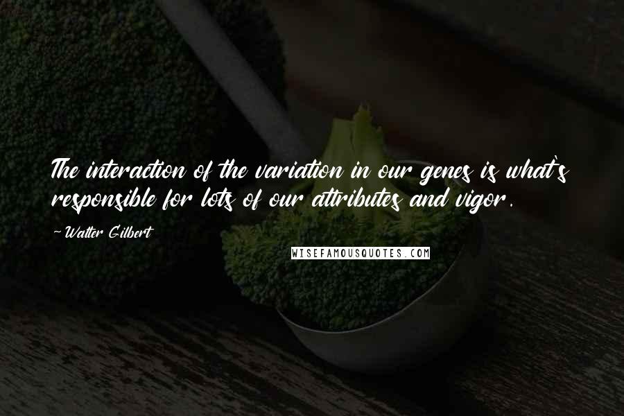 Walter Gilbert Quotes: The interaction of the variation in our genes is what's responsible for lots of our attributes and vigor.