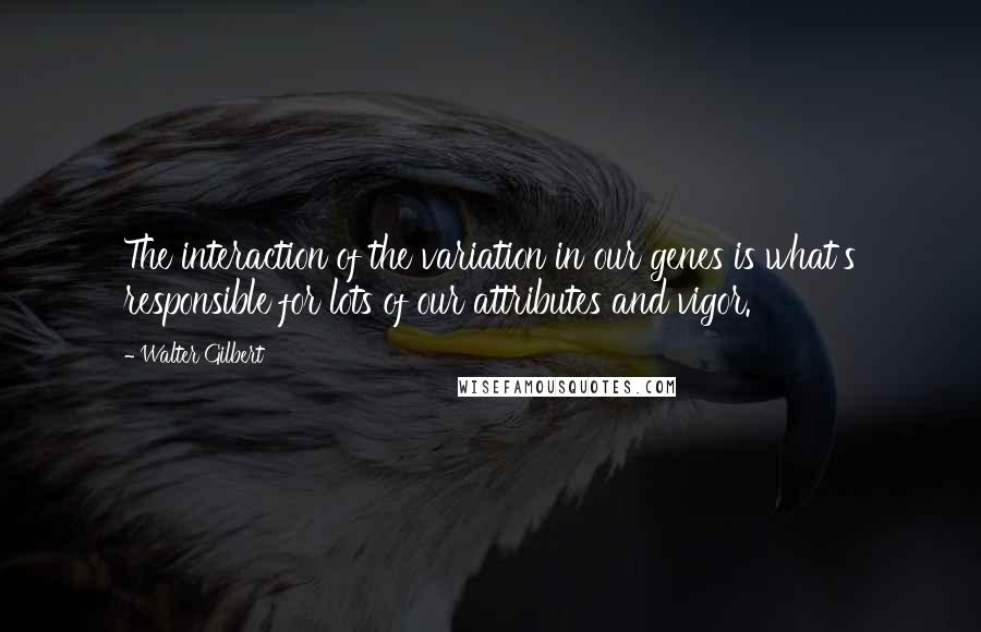 Walter Gilbert Quotes: The interaction of the variation in our genes is what's responsible for lots of our attributes and vigor.