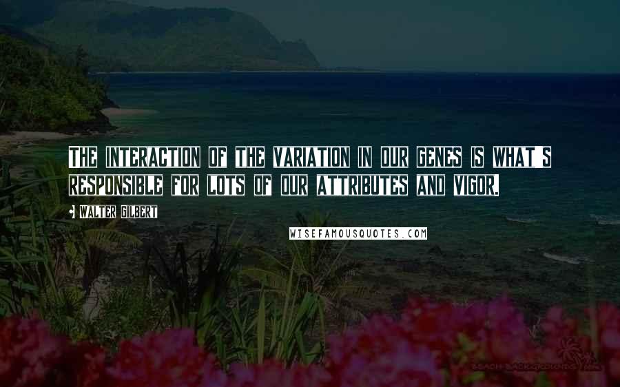 Walter Gilbert Quotes: The interaction of the variation in our genes is what's responsible for lots of our attributes and vigor.