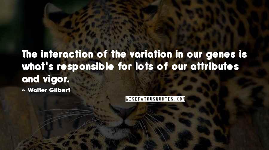 Walter Gilbert Quotes: The interaction of the variation in our genes is what's responsible for lots of our attributes and vigor.