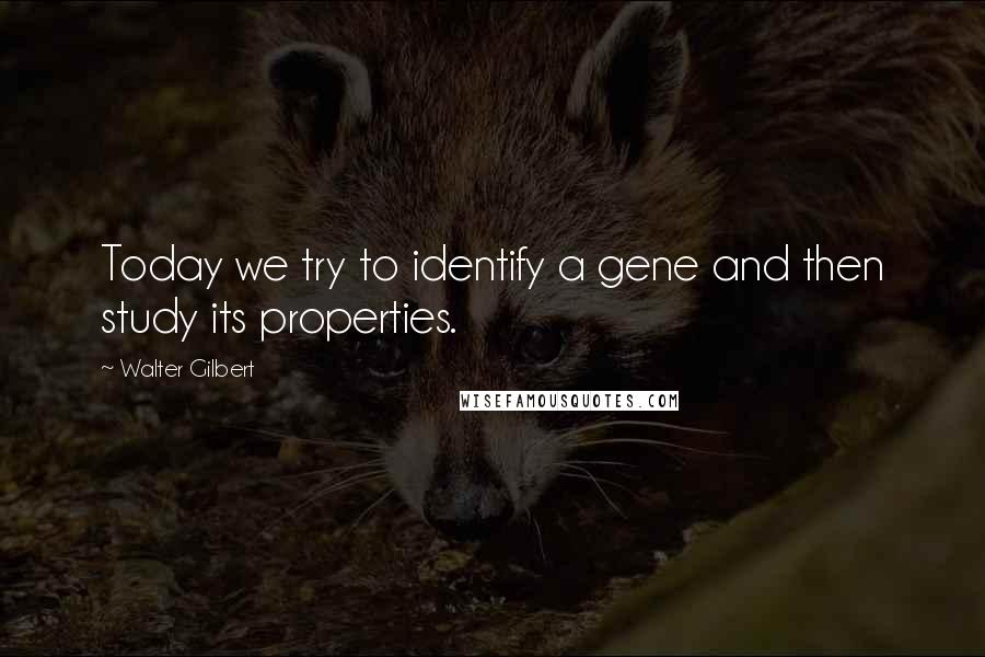 Walter Gilbert Quotes: Today we try to identify a gene and then study its properties.