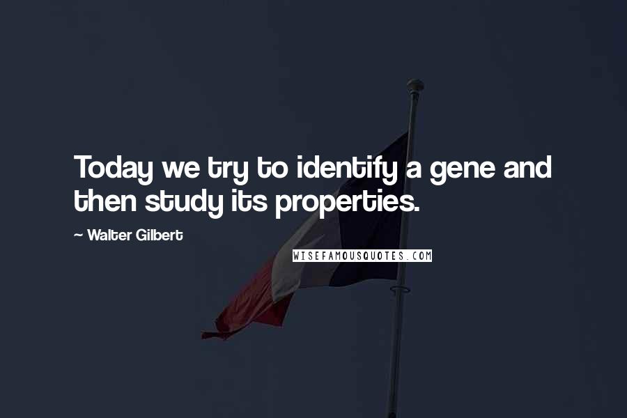 Walter Gilbert Quotes: Today we try to identify a gene and then study its properties.