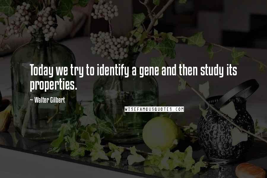 Walter Gilbert Quotes: Today we try to identify a gene and then study its properties.