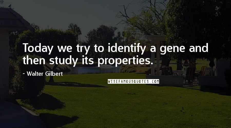 Walter Gilbert Quotes: Today we try to identify a gene and then study its properties.